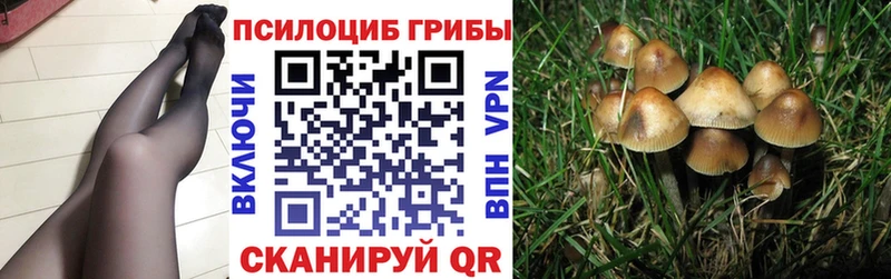 хочу наркоту  Зима  Галлюциногенные грибы MAGIC MUSHROOMS 
